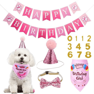 Dog Pet Dog Birthday Set with Golden Number