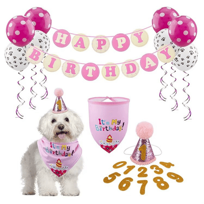 Dog Pet Dog Birthday Set with Golden Number