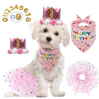 Dog Pet Dog Birthday Set with Golden Number