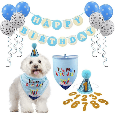 Dog Pet Dog Birthday Set with Golden Number