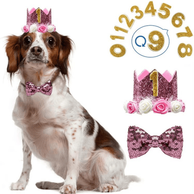 Dog Pet Dog Birthday Set with Golden Number