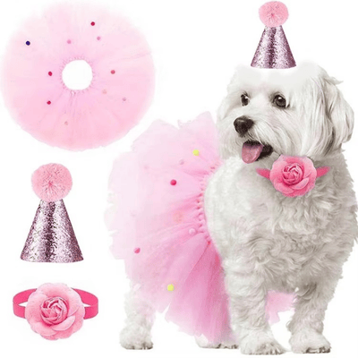 Dog Pet Dog Birthday Set with Golden Number
