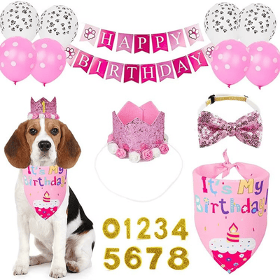 Dog Pet Pink Crown Hat Skirt Bibs Suit Birthday for Dog Party