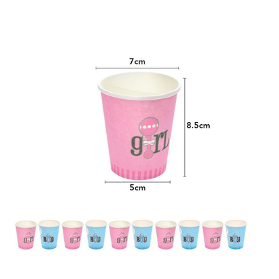  Baby shower boy or girl gender reveal party decorations set