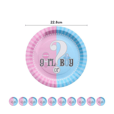  Baby shower boy or girl gender reveal party decorations set