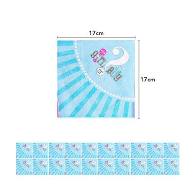  Baby shower boy or girl gender reveal party decorations set