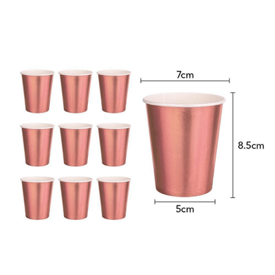 Wedding birthday girls party rose gold dot dinnerware set 