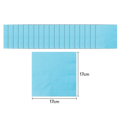 Blue theme birthday graduation festival girls party tableware 