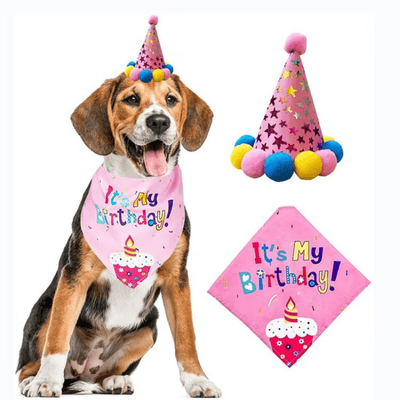 Pet party dog birthday party supplies decoration set 