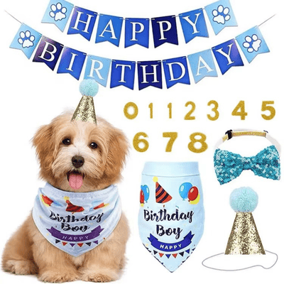 Dog Pet Dog Birthday Set with Golden Number