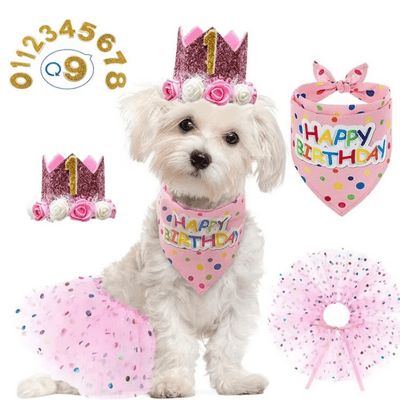 Dog Pet Pink Crown Hat Skirt Bibs Suit Birthday for Dog Party